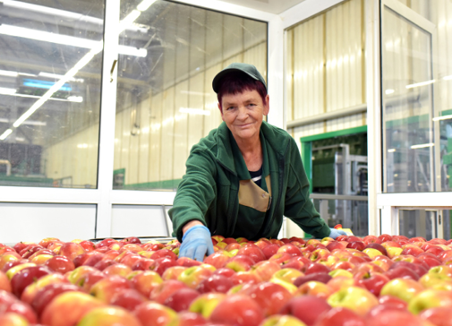 Récupération de chaleur fatale pour décarboner l’industrie agroalimentaire