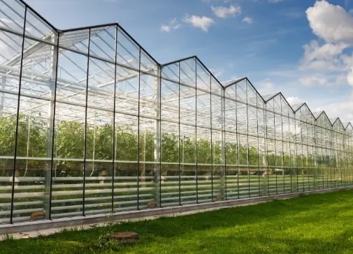 Travaux éligibles aux CEE dans la filière légumière ?