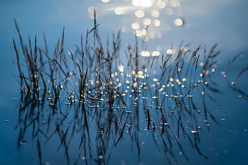 Certificats d'économies d'énergie CEE