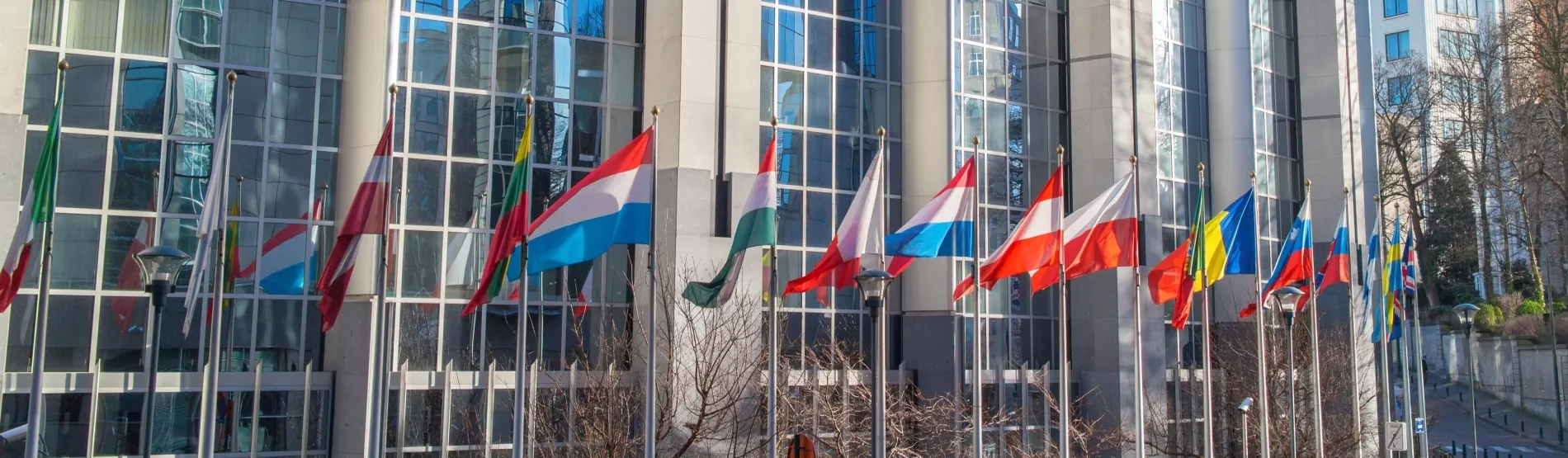 Drapeaux des États membres du Conseil de l'Europe