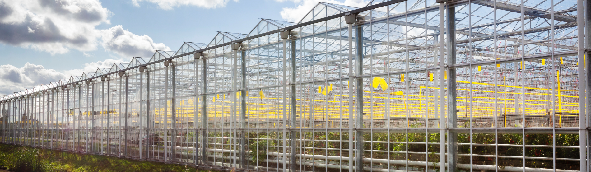 Protégé : CEE pour serres chauffées : des économies d’énergie dans le secteur agricole