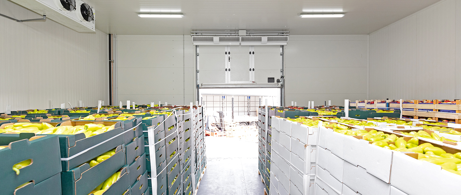 Réhabilitation de station fruitière : quelles aides CEE pour financer vos travaux ?