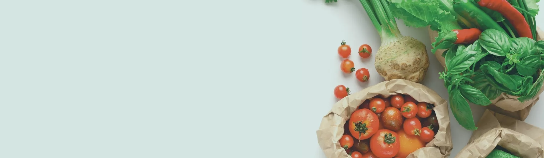 Légumes frais comprenant des tomates et des radis