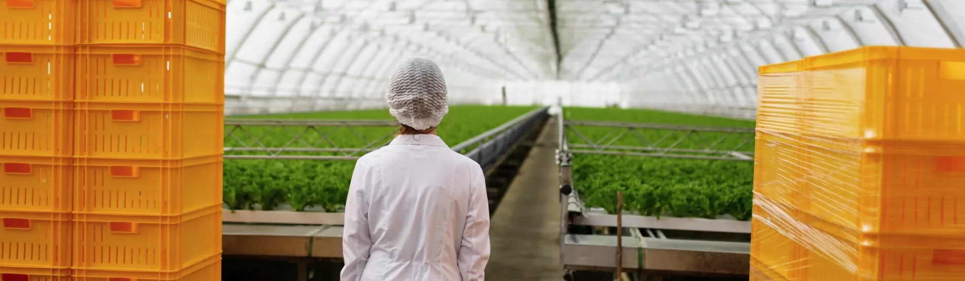 Réhabilitation de station fruitière : quelles aides CEE pour financer vos travaux ?