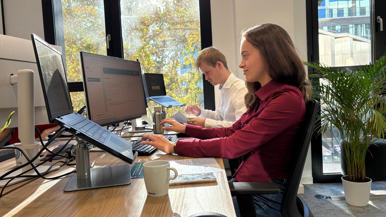 Equipo Ilex Sostenible trabajando en la oficina