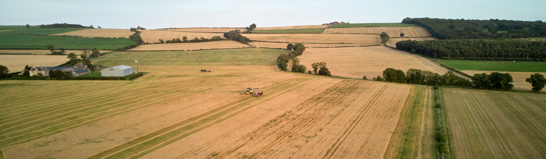 Souveraineté alimentaire : quelles mesures contient la loi d’urgence pour la protection et la souveraineté agricoles ?